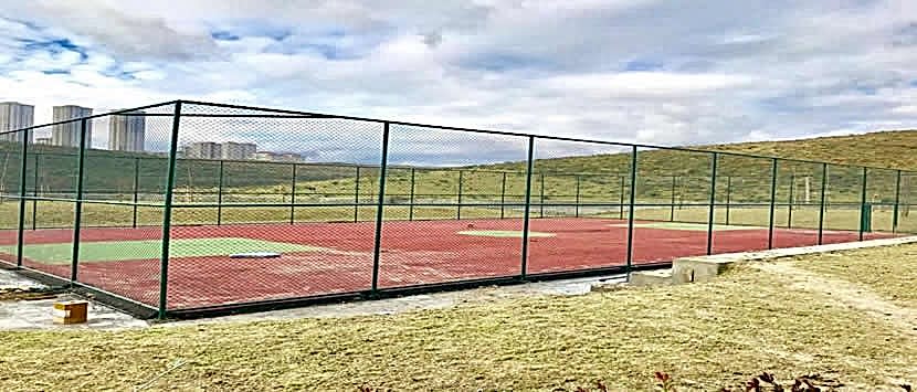 Spor Saha Çitleri