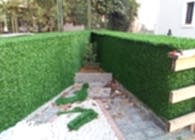 Çim Çit