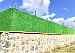 Çim Çit