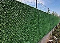 Çim Çit