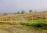 Tel Çit