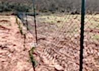 Tel Çit